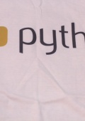 Футболка программиста — Python