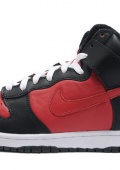 Nike Dunk High