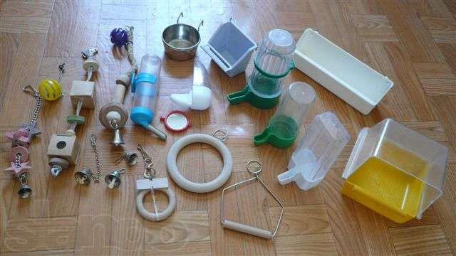 Как сделать поилку для попугаев Как сделать поилку для попугаев